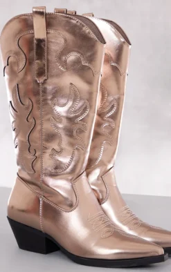 Prettylittlething Silver Pu Point Toe Textured Low Block Heel Western Boots Grey -Pretty Soles Shop 7f5e5ce865ae55fa20707982ad3285ef410f3949 cng7152 4